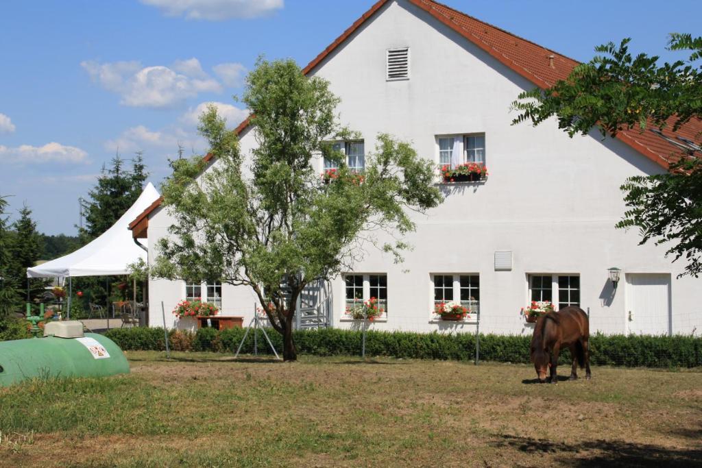 Hotel-Pension Am Muehlberg Lübbenau Quarto foto